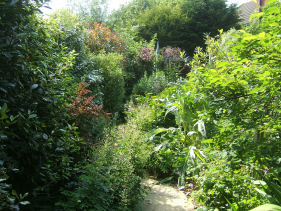 longwalk2008.JPG - 48316 Bytes