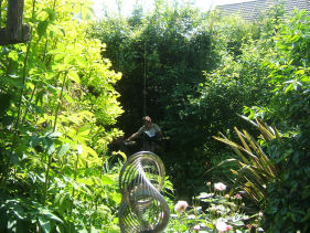 pergola_2008.jpg - 51438 Bytes